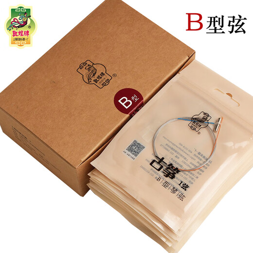Dunhuang Guzheng B-Typ String 694/695/698 Primärer Einstiegsebene Zither Special 1-10 Saiten