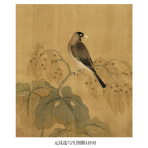 Yuan Qian wählt Skizzier-, Blumen- und Vogelmalerei, hängende Gemälde, antike berühmte Gemälde, runde Fans, neue Malerei -Dekorationsmalerei