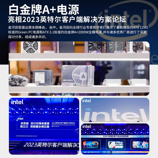 金河田（Golden field）白金牌A+850W电脑电源台式机全模组额定850W静音电源全日系电容/白金认证/压纹线 白金牌A+1050W 白【ATX3.1/压纹全模】