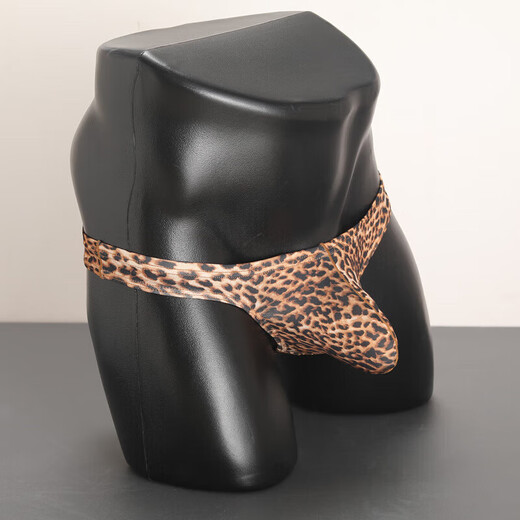 Sous-vêtements sexy sous les sous-vêtements imprimés de léopard masculins sexy bistes sexytes gays gays privés gays commode uniforme tentation insert t-pants café xxl