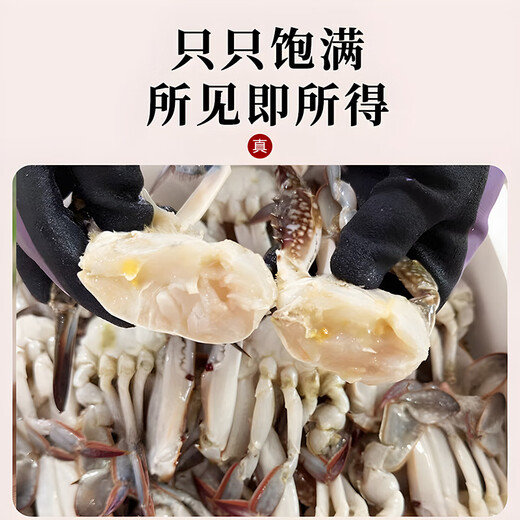 Haisuda Zhoushan frozen swimming crab pieces, net weight 550g, total 21-24 pieces, liquid nitrogen-free fresh sea crab fresh aquatic products