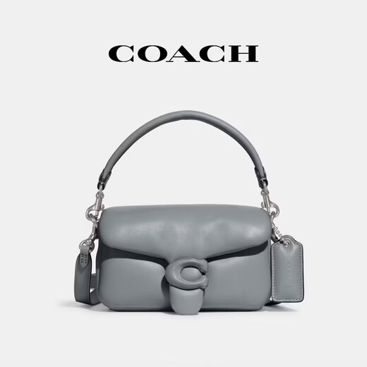 蔻驰（COACH） 官方授权 女士休闲简约单肩斜挎手提包情人节礼物 灰蓝色C3880LHN19