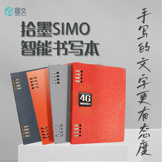 Cahier électronique à encre de Chine, bloc-notes d'écriture intelligent, bloc-notes, bloc-notes de bureau intelligent, synchronisation d'écran en papier, peut stocker des enregistrements de réunion, agenda, bloc-notes de bureau intelligent, bloc-notes d'écriture manuscrite, bloc-notes cloud intelligent N6-gris zinc (avec stylo électromagnétique)