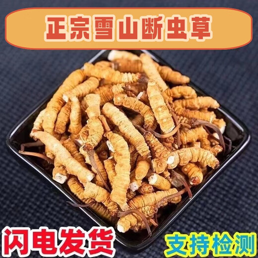 鹿章堂正宗藏区高海拔精品断虫草断草冬虫夏草自食买10克发11克多买多惠 西藏那曲高海拔纯肉整节80克（送10克发90克）