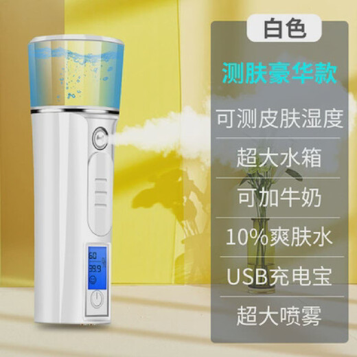 Handheld cold spray rechargeable girl's skin test steaming face mini portable moisturizing beauty white luxury model (water tank 40ML)
