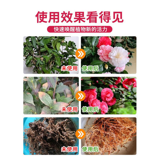 Camellia fertilizer special fertilizer non-dilution nutrient solution camellia jasmine gardenia azalea acid-loving plant potted home Camellia non-dilution nutrient solution 500ml*1 bottle