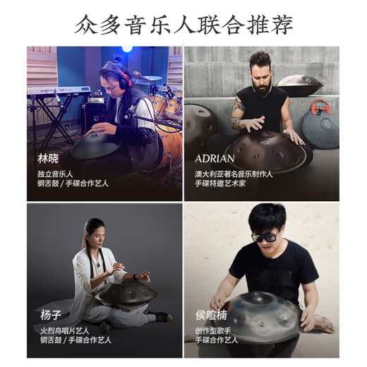 
hluru Luru hand disc 10 tone handpan professional performance hand disc drum ethereal drum percussion instrument forget the sorrow drum [Beginner model] hand disc drum 10 tone silver