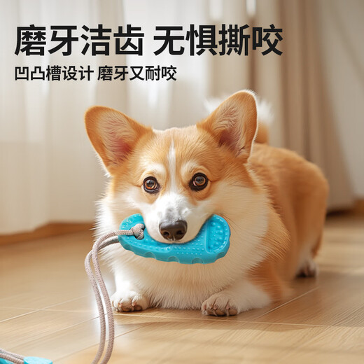 Qi Oh dog toy suction cup, bite-resistant suction cup to relieve boredom, self-pleasure tool, border collie, energy-consuming puppy toy, pet supplies, bite-resistant suction cup-blue