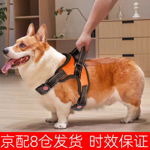 Leijia Dog Rope Small and Medium-sized Dog Leash Dog Walking Rope Harness Corgi Harness Explosion-proof Dog Rope Orange #15-38Jin Jin equals 0.5kg #Chest Harness M