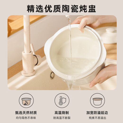 LOTOR Leda white electric stew pot multi-functional pot electric cooking pot soup pot household large-capacity water-proof stew pot baby food supplement electric steamer porridge pot D31 basic model