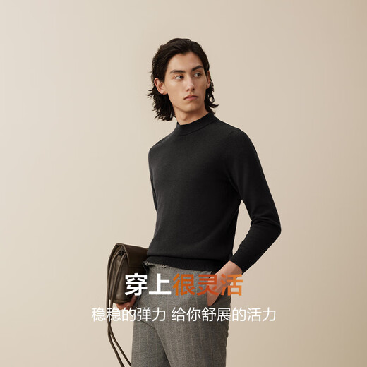 Hodo 100% pure wool Hodo men's woolen sweater for men 24 autumn and winter thickened sweater base layer sweater for men