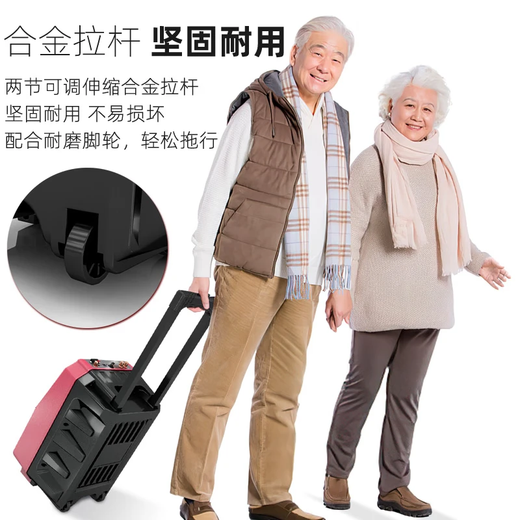 Jinzheng square dance audio with display screen wireless microphone Bluetooth home ktv singing karaoke karaoke machine integrated video outdoor trolley speaker outdoor audio 1033 21# Bluetooth version + charging dual microphone + 64G square dance