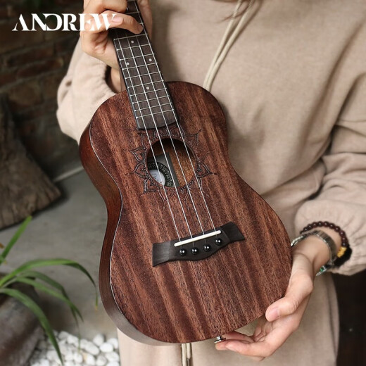 安德鲁（ANDREW）儿童尤克里里小吉他初学者女男ukulele 23英寸经典莲花+全套配件