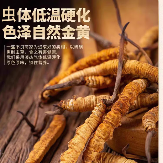 
Kangyuan Tibetan grassland Cordyceps sinensis high-altitude dry goods Cordyceps health supplements gift gifts for parents, elders and colleagues high-end gift boxes 4 pieces per gram 20 pieces of crystal tube gift boxes