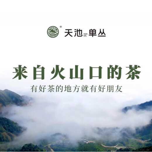 1392 Tianchi Tea Industry Phoenix Single Cong Spring Tea Golden осень карамельная мелассы классический аромат орхидеи Милан 210G Подарочная коробка купить Milan 210G (заказ 10G)
