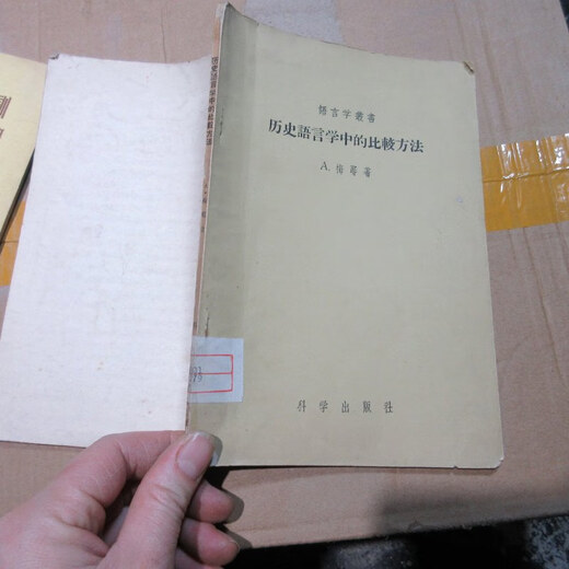 [Out-Printd Old Book] Vergleichende Methoden in der historischen Linguistik 16869