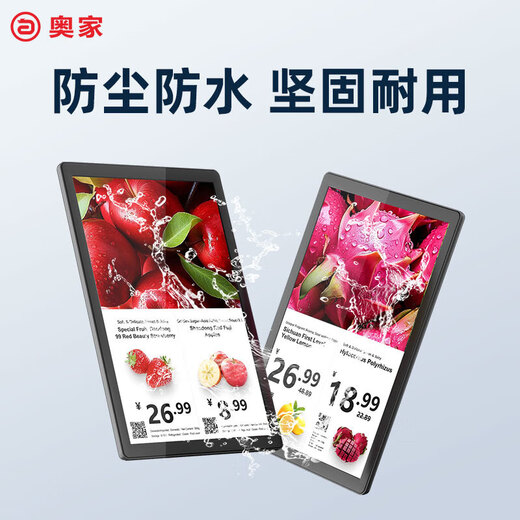 AOKIA 10.2-inch price tag LCD shelf label smart electronic price tag LED display shopping mall supermarket electronic price tag fresh seafood food price color screen advertising 1 single screen (choose one of the hanging rope/bracket) free software to change the price and picture with one click