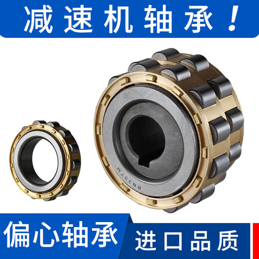 Customized applicable reducer eccentric bearing sleeve overall swing RN307 206 309 thickened double eccentric 205 quality available RN309M + eccentric RN206M + eccentric sleeve inner diameter 16 18 Order remarks inner diameter