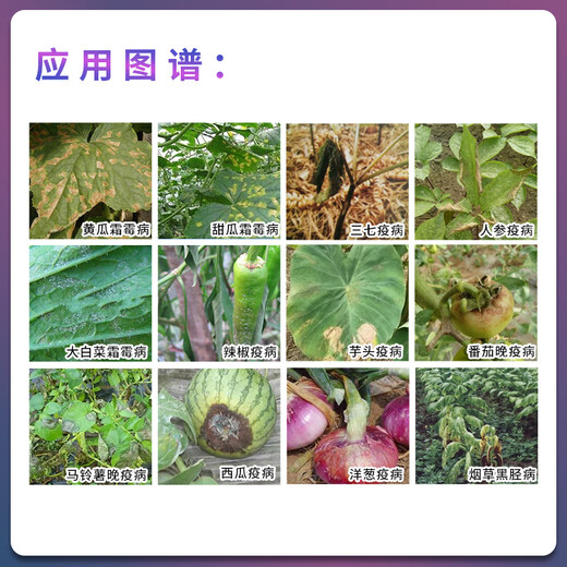 Germany imported silver-fared fluobacterium propamocarb tomato downy mildew cucumber disease silver-farmed pesticide fungicide silver-fared fluobacterium propamocarb 500ml