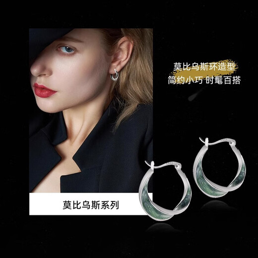 Eternelle French eternal French light luxury sterling silver earrings niche cold style earrings high-end earrings birthday gift