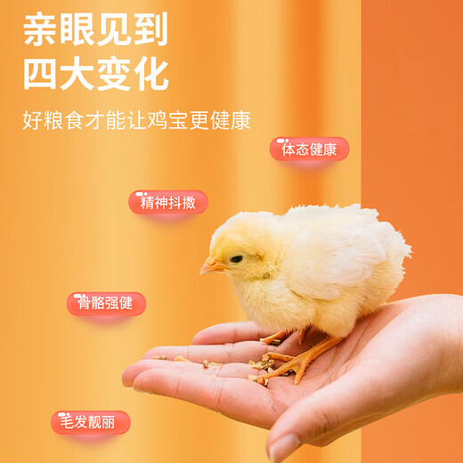 Cute little tribe of rutin chicken feed, egg-laying food, chick food, brooding chicken special nutrition opening food, medium large chicken food, full price rutin chick food 500g