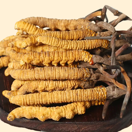 Peking Tongrentang Qualität Cordyceps Lhasa Versand authentisch Cordyceps Geschenkbox Pack gebrochen Cordyceps Trocken Knoblauch Geschenkbox Geschenkbox 2 Stangen 1 g Knoblauch Geschenkbox 20 Stangen 10 g insgesamt [Geschenk Can]