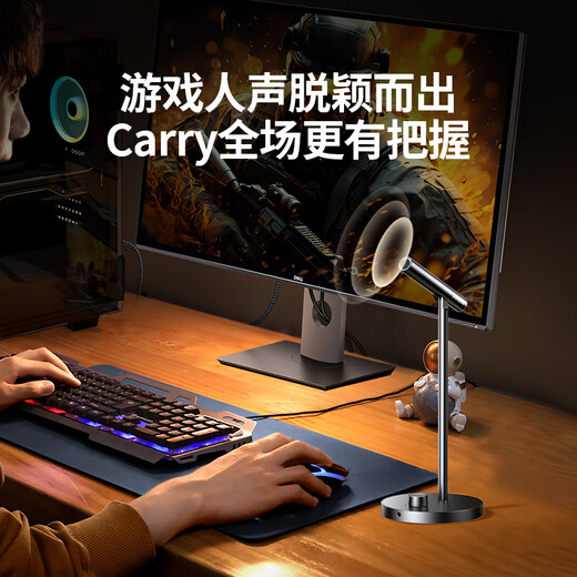 Greenlink USB computer desktop microphone condenser microphone wireless DSP intelligent noise reduction desktop notebook karaoke live online class voice conference suitable speaker 35344