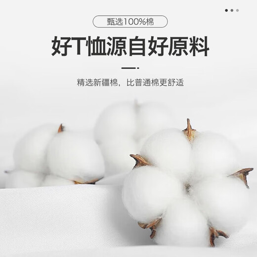 Nanjiren (Nanjiren) long-sleeved T-shirt men's bottoming shirt solid color inner top bottoming round neck loose pure cotton long-sleeved men's white XL