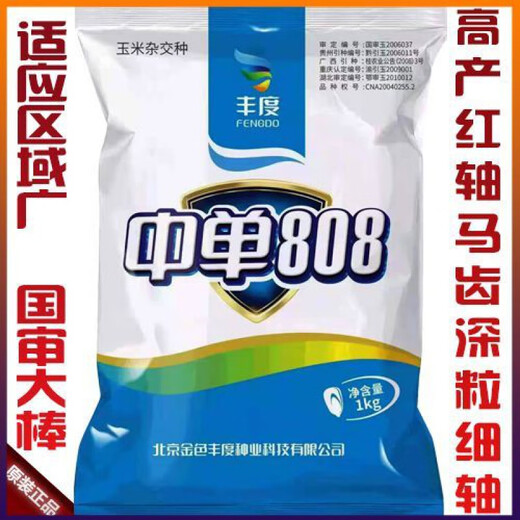 Yungui-Sichuan Zhongdan 808 Zhuangyu 808 high-yielding big stick hybrid corn seed high-yield Zhengda 999 disease and drought resistance Yungui-Sichuan National Approval Zhongdan 808 bag (2Jin Jin equals 0.5kg) in stock