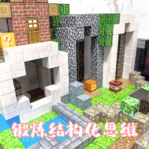 Hero Thrive Minecraft Magnetic Square Large Particle Building Block Assembly -Gebäude Modell Spielzeug Jungen und Mädchen Geburtstagsgeschenk [Luxus] Bibliotheksgebäude 686 Block 30