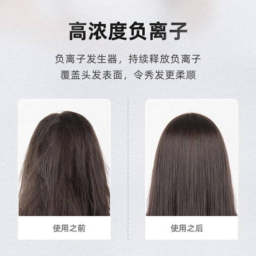 博锐飞科旗下电吹风家用大功率吹风筒负离子吹风机冷热风理发店FH6101 FH6228 2000W可折叠带负离子
