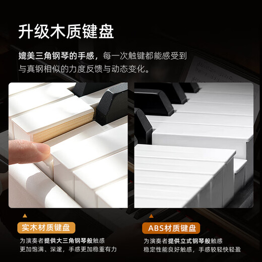 贝琪（Betsy）B321立式电钢琴重锤88键实木琴键成人家用练习专业初学者电子钢琴 演奏级-B321音响款-烤漆黑