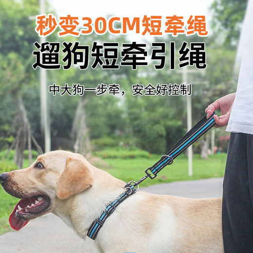Spico dog training leash removable integrated P rope chain small, medium and large dogs explosion-proof dog walking rope anti-knot black orange length 120cm straight diameter 6mm 1-120Jin Jin equal to 0.5 kg or less