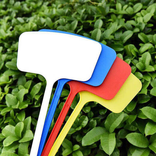 Shipton Ground marca plástico gran superficie jardinería etiqueta campo de prueba signo de tierra signo de plántula de flor 60 * 8 * 15 todo en uno blanco paquete de 10