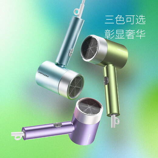 Royalstar Hair Dryer Home Light Care Hair Dryer High Power Quick Drying Hair Dryer Ladies Portable Hair Dryer Gifts for Girls Holiday Gifts Green Exclusive Hair Care Professional Hair Dryer