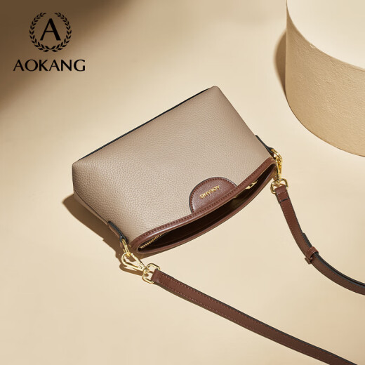 奥康（Aokang）包包女包小方包新款时尚通勤百搭斜跨单肩包生日礼物送女友 大象灰（礼盒款）