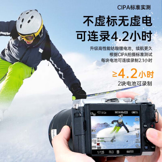绿巨能（llano）佳能LP-E17相机电池R50 R8 m6mark2 R10 RP 200D二代750D 760D 800D 850D M5 M6 77D充电器lpe17 【两电一快充盒】1050