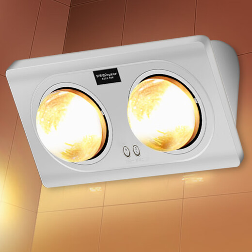 Royalstar Bath Heater Light Warming Lighting Exhaust All-in-one Machine 2025 New Bathroom Heater Bathroom Bulb Bath Heater Light Economical High Heat Silver Double Lamp Model