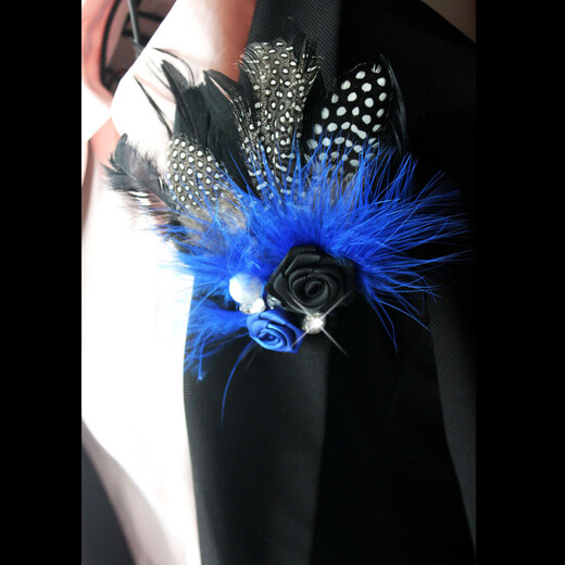 Library selection nightclub bar singer performance jewelry brooch feather corsage flash diamond retro competition exaggerated corsage badge for men picture color M15