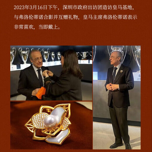 Haikai brooch, women's pearl brooch, luxury jewelry, Valentine's Day birthday gift for wife, girlfriend, mother-in-law, daughter, bougainvillea pearl brooch