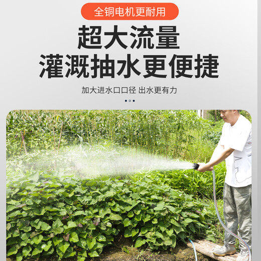 Rechargeable water pump vegetable field outdoor pastoral agricultural suction pump watering ground irrigation household vegetable watering artifact watering machine 24V16A lithium water pump + 100 meters pipe