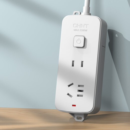 Chint (CHNT) master control socket/plug cord/row plug/terminal board/pull cord board/extension cord socket 2-position combination hole master control 0.8 meters