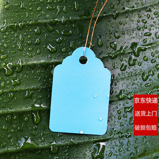 100 цветных пластиковых бирок для растений из ПВХ для цветов и садовых горшечных растений, маленькие бирки для рассады, сочные бирки, синие 7х5 см/100 штук в пачке