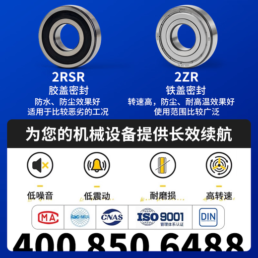 德国BKD进口轴承6201自行车6202专用电动车轴承6203前后轮6204轴承6205RS6206 6205RS/P4胶盖