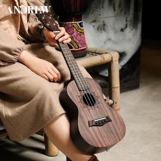 安德鲁（ANDREW）儿童尤克里里小吉他初学者女男ukulele 23英寸经典莲花+全套配件