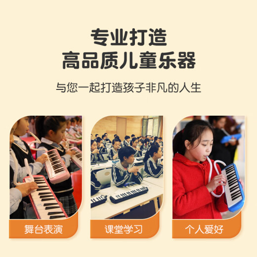FEIFAN飞繁 口风琴37键小学生专用儿童成人专业演奏级吹管乐器 蓝色