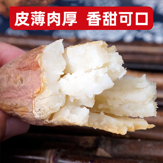 Jingxiansheng Shandong Hami rock sugar sweet potato net weight 9Jin Jin is equal to 0.5kg, single fruit 150g + family pack, delicate taste, straight from the source