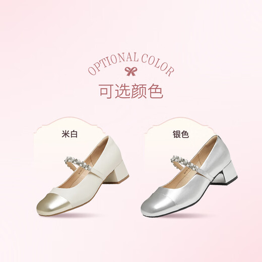 Tianmeiyi Chaussures Chaussures pour femmes Mall Talon épais Français rétro Single chaussures Mary Zhen Shoes Spring and Automn Style BJ761CQ4 Silver 36