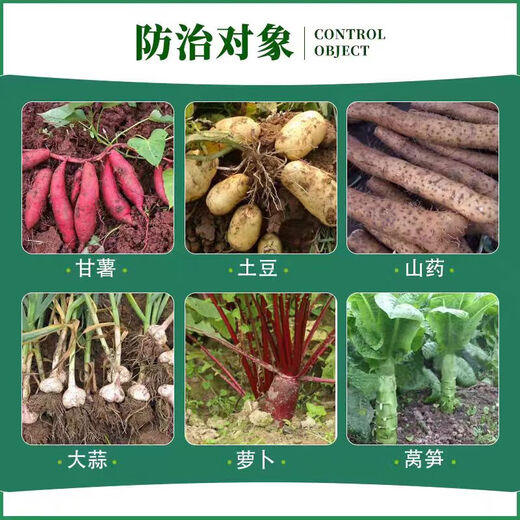70% Choline Chloride Garlic Ginger Onion Sweet Potato Peanut Potato Ginger Underground Rhizome Expansion Agent 1000ml*1 bottle