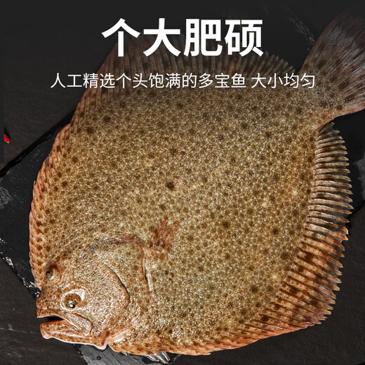 Selling Fish Seven Lang Turbot Net Weight 2.1 Jin Jin equals 0.5 kg, 3 pieces in total, Sea-caught fresh frozen halibut, fresh aquatic fish